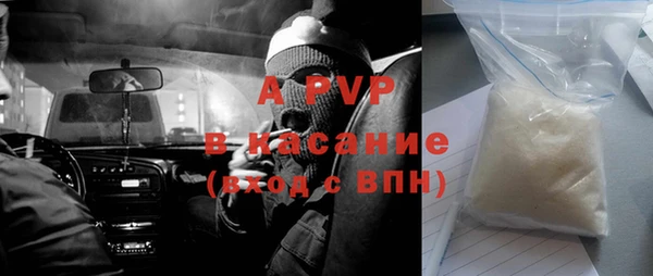 прущие крисы Белокуриха