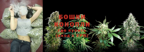 мет Нея